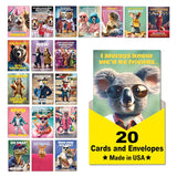 Leanin' Tree Wild Ones - Made In USA - 20 Assorted Cards with Envelopes All Occasion, Birthday Cards Funny Enough to Make You Laugh, Includes Birthday, Encouragement, Friendship, Thank You and More