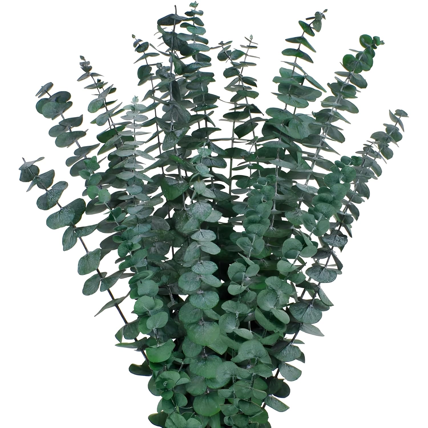12Pcs Dried Eucalyptus Bundle 17'' Real Eucalyptus Stems 100% Natural Fresh Leaves Hanging Plants Greenery Stems For Shower Home Decor Flower Arrangement Wedding