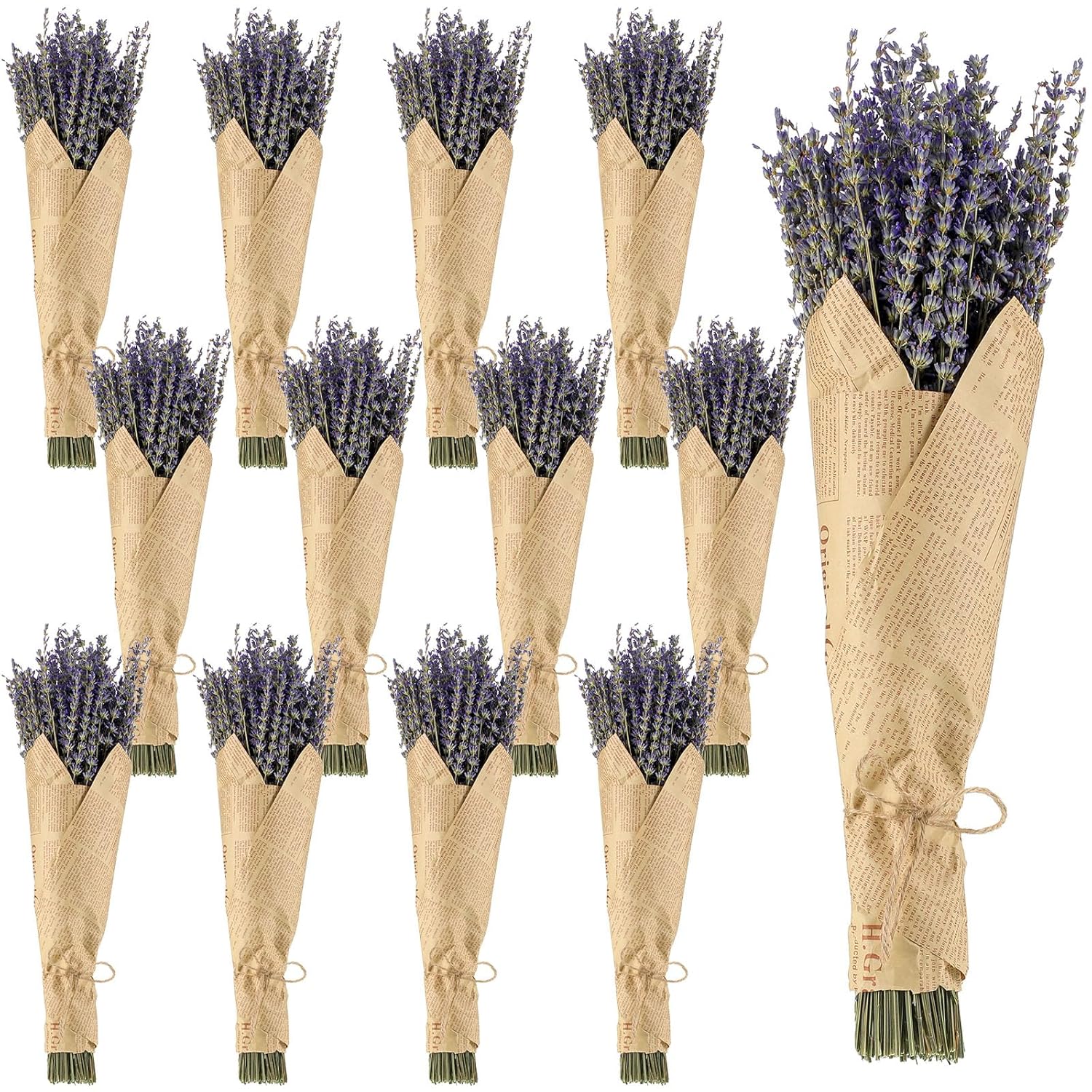 12 Pack Total 2280 Stems Dried Lavender Bundle Bulk Organic Lavender Flowers Decor Natural Dried Purple Flowers Bunches For Bathroom Shower Diy Arrangements Wedding Home Party Decorations