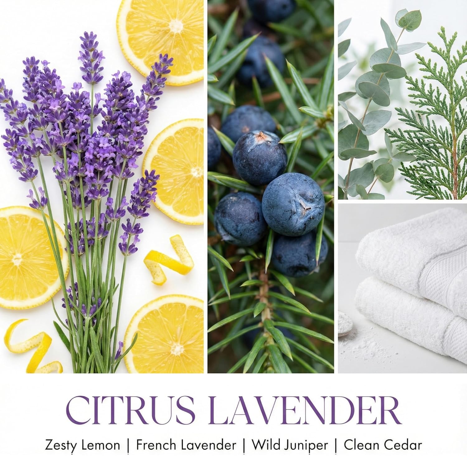 4Ever Scented Candles | 4-Wick 18Oz Soy Wax Candle | Up To 50Hrs Clean Burn | Aromatherapy Candles For Home Scented | Gifts For Women & Mom, Citrus Lavender