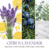 4Ever Scented Candles | 4-Wick 18Oz Soy Wax Candle | Up To 50Hrs Clean Burn | Aromatherapy Candles For Home Scented | Gifts For Women & Mom, Citrus Lavender
