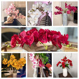 Artificial Flowers Faux Butterfly Orchid 4 Pcs Real Touch Double Branch Silk Flowers (No Vase) For Wedding Home Party Hotel Yard Decoration Restaurant Patio Festive Furnishing (Fuchsia)