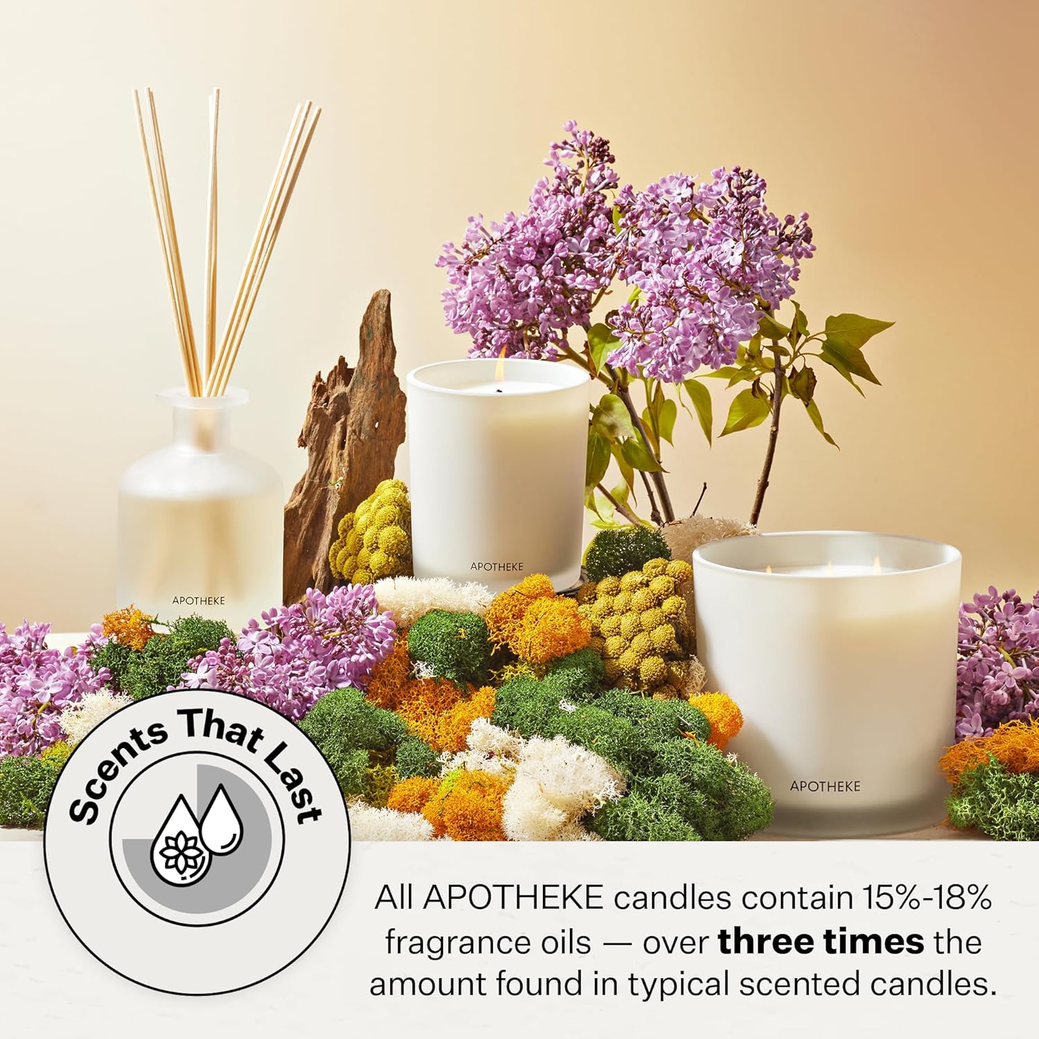 Signature Scented Candles For Home, Wild Mint & Ivy - 10.5 Oz - Soy Wax, Non Toxic, Large Jar White - Luxury Candle Gifts For Women & Men - Eucalyptus, Patchouli, Cedarwood, And Rose