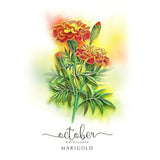 Marigold Quilling Card For October Birthday, Floral, 5In X 7In