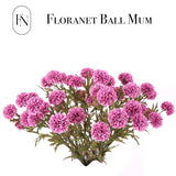 10 Pcs 27" Artificial Faux 4 Heads Kiku Ball Mum,Pom Pom Balls Stem Diy Home Office Shop Wedding Flower Bouquets Aesthetic Room Decoration, Floral Arrangements Centerpiece Decor (Magenta)
