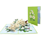 Pop Up Greeting Card Blooming White Daisy Field Flower Card Daisy Gift Spring Floral Mother'S Day Thank You Birthday Celebration