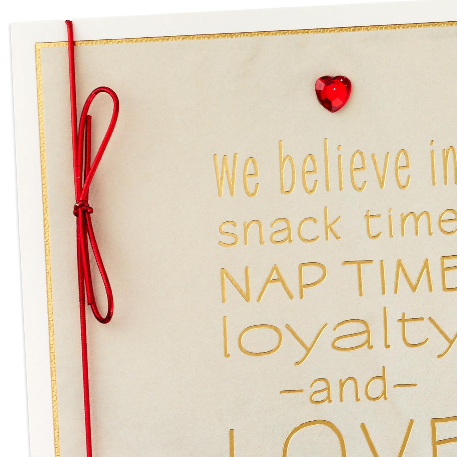 Hallmark Valentines Day Card for Husband, Wife, Boyfriend, Girlfriend (Snuggling Dogs)