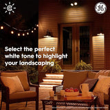 PAR38 Smart LED Flood Light Bulb 2 Pack Color Changing WiFi Outdoor Light Works with Alexa Google Home