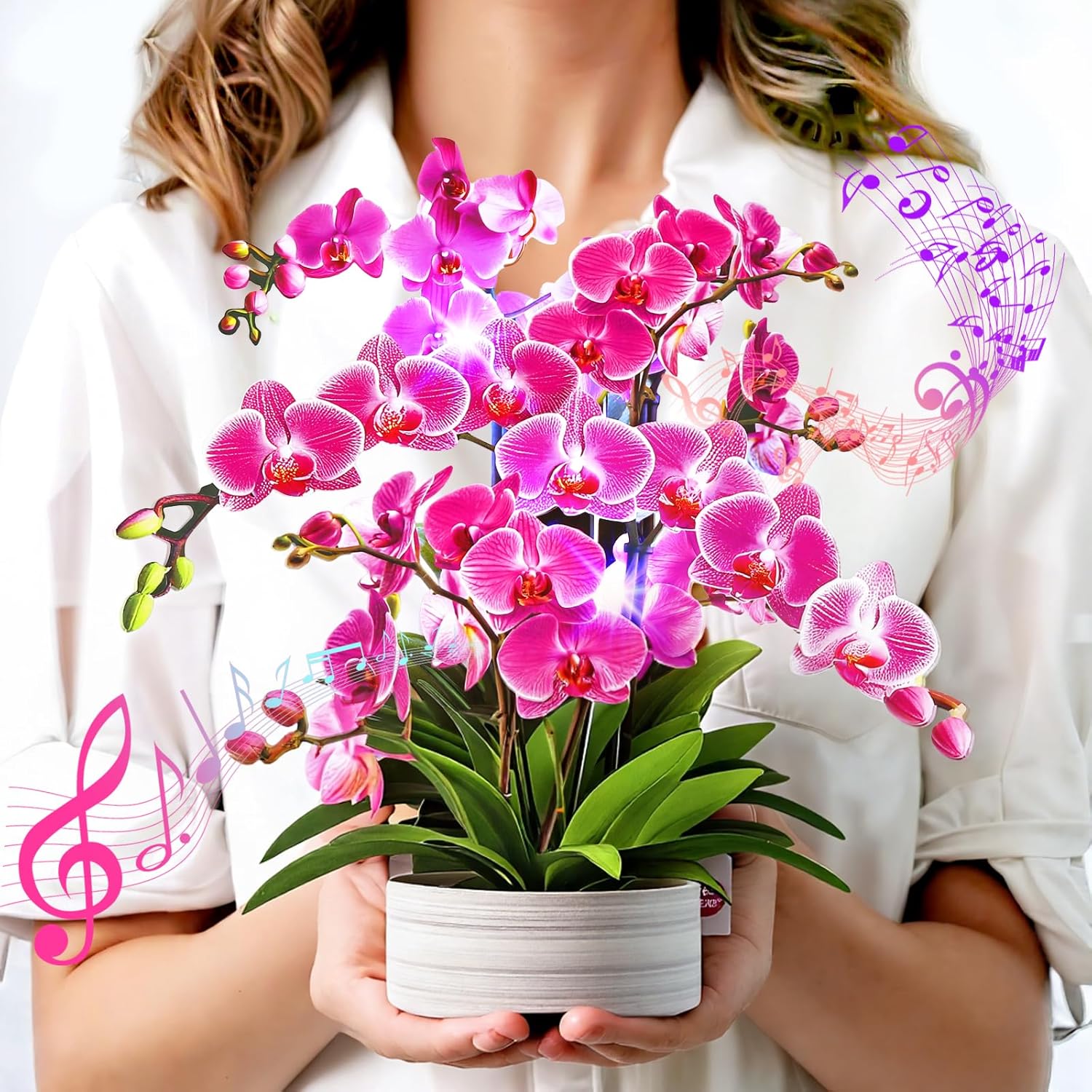 Birthday Cards, Mothers Day Cards With Light And Music, Orchid Oasis, 10 Inch Life Sized Forever Flower Bouquet, Greeting Card For Thank You Cards Get Well Soon For Her Women Wife Mom Daughter Sister (Blank Notecard & Envelope)