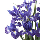 10Pcs Artificial Iris Flowers With 27.5" Long Stem Realistic Faux Silk Iris Flowers For Wedding Centerpieces Bridal Bouquet Home Kitchen Party Décor Flower Arrangements(Deep Purple)