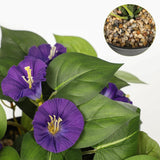 Artificial Hanging Flowers In Pot 25.6" Faux Silk Morning Glory Flower Vine With Cascading Greenery Fake Hanging Plants For Home Office Bathroom Table Shelf Decor(Purple)