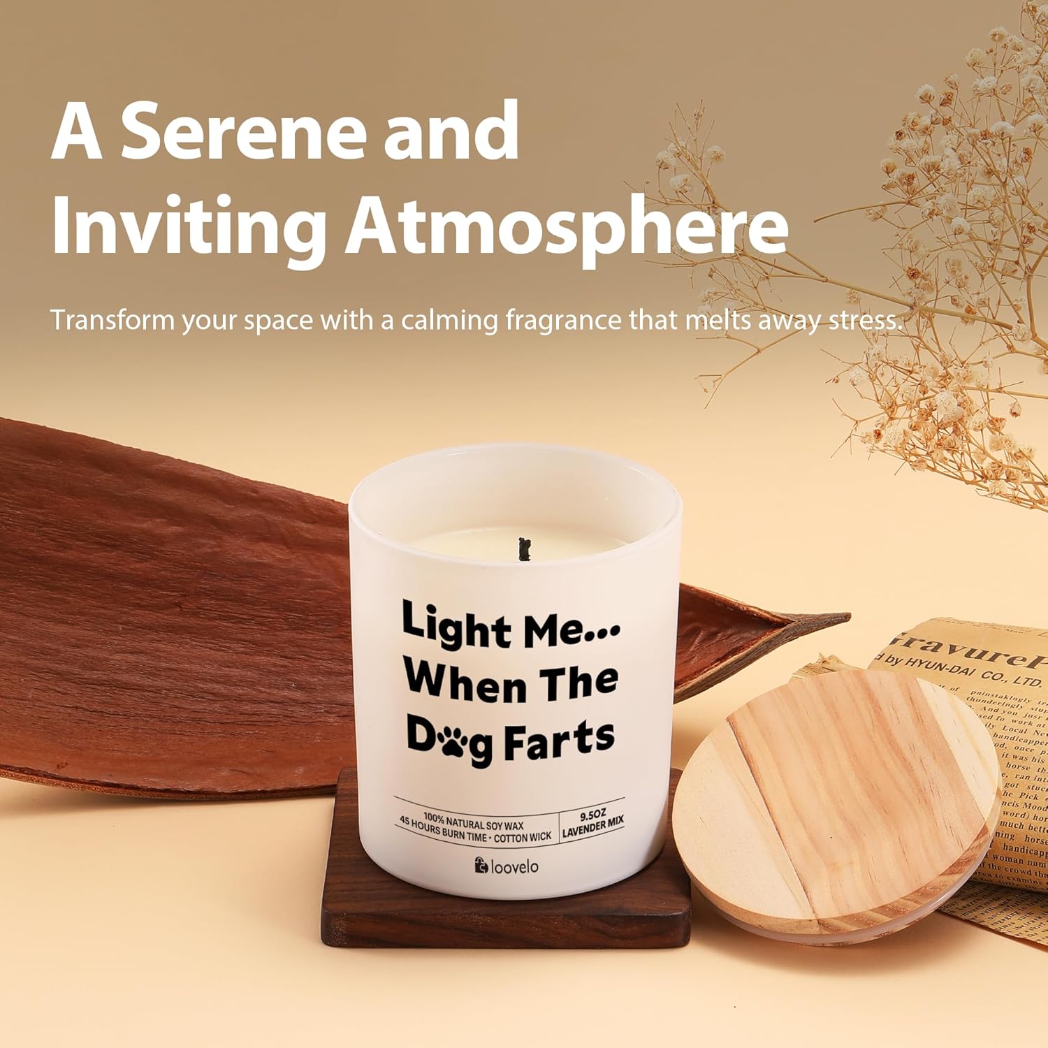 Light Me When The Dog Farts Dog Lover Gifts Pet Lover Girlfriend Boyfriend Sister Brother Mom Dad Scented Candle Home Office Jar Candle Sage Floral Lavender Scent Soy Wax 9.5 Oz