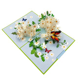 Pop Up Greeting Card Blooming White Daisy Field Flower Card Daisy Gift Spring Floral Mother'S Day Thank You Birthday Celebration