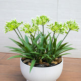 Faux Outdoor Flowers Realistic Artificial Plants 8 Bundles Plastic Flower Outside 18.9 In Fake Greenery Stems Green Flower For Pot Planter Decor Outside