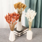 Natural Bunny Tails Dried Flowers - 120 Pcs Rabbit Tail Grass, Lagurus Ovatus For Boho Decor, Dried Pampas Grass Dry Flower Arrangements For Wedding Party Home Kitchen Office Decorations (Retro Pink)