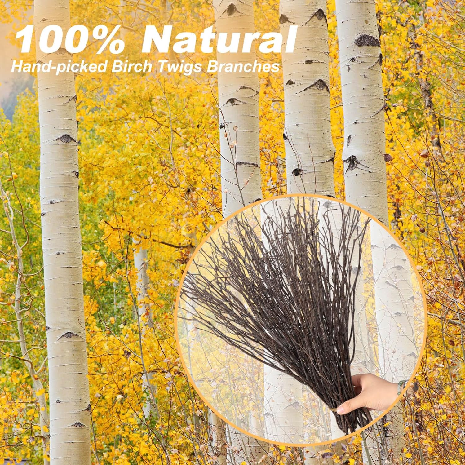 60Pcs Real Dried Birch Twigs Branches - 16” Natural Decorative Birch Branches For Easter Vases, Birch Sticks For Diy, Centerpiece, Floral Arrangment, Twig Wreath, Rustic Home Decor