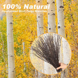 60Pcs Real Dried Birch Twigs Branches - 16” Natural Decorative Birch Branches For Easter Vases, Birch Sticks For Diy, Centerpiece, Floral Arrangment, Twig Wreath, Rustic Home Decor