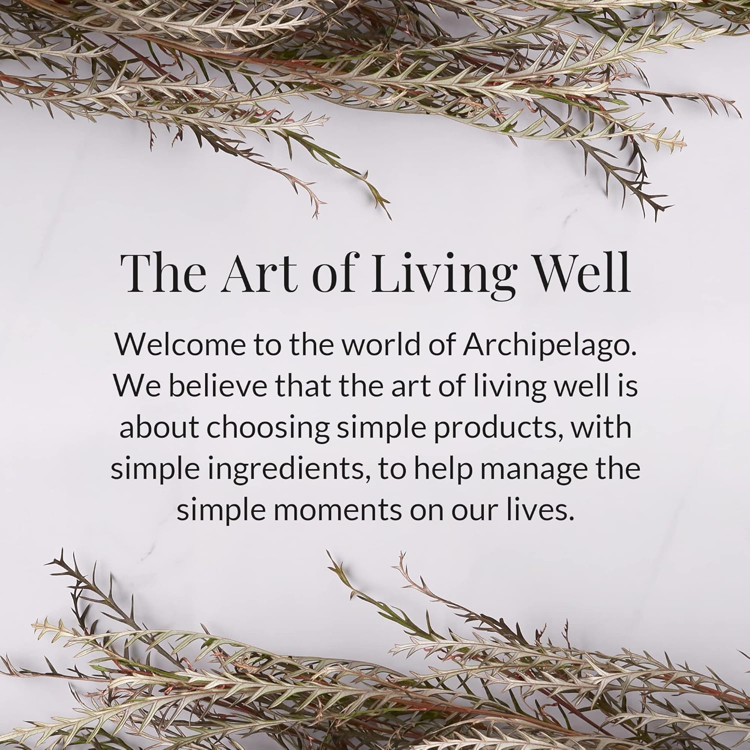 Archipelago Botanicals Scented Candle, Luna, Hand-Poured Premium Wax Blend, Candle for The Home, Lead-Free Cotton Wicks, Glass Candle Jar with Gift Box, Burns Approx. 60 Hours, 10 Oz.