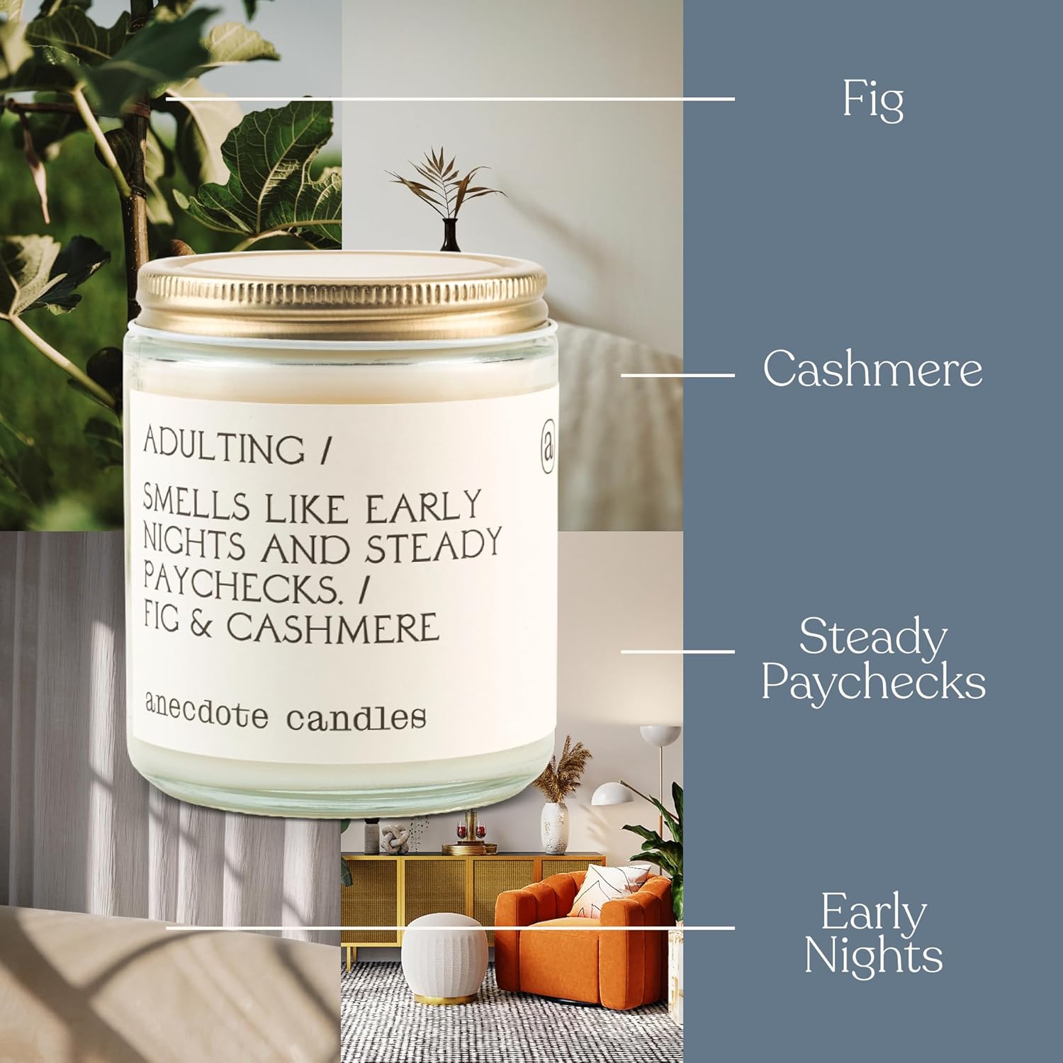 Anecdote 'Adulting' Coconut Soy Wax Candle Jar | Premium Hand Poured & Long Burning | Fig & Cashmere Scent | Phthalate-Free | For Home, Office, Gift - 7.8 Oz