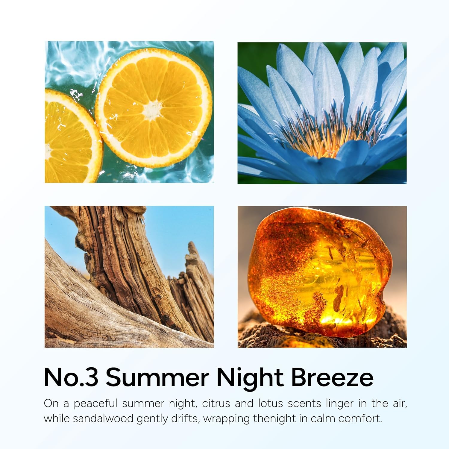 Summer Night Breeze Scented Candle, 11Oz Aromatherapy Soy Wax Candles For Home Scented, Fruits, Flower, Wood Scent, Long Burning Time, Gifts For Women, Men, Friend, Relaxation & Stress Relief
