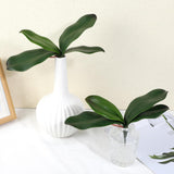Faux Orchid Leaves, 2 Pack 8 Inch Artificial Phalaenopsis Stems Leaf Real Touch Orchids Leaf Artificial Cymbidium Flower Foliage Real Latex Touch Green Plant Orchid Leaves For Home Flowers Pot Decor