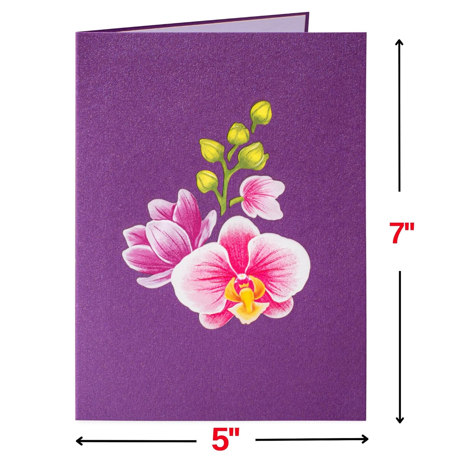 Happy Mothers Day Card, Mother'S Day Pop Up Card, 3D Orchids, For Mom, Wife, Grandma - 5" X 7" Cover - Includes Envelope And Note Tag