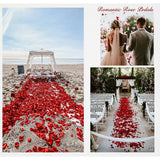 1000Pieces Rose Petals, Artificial Flower Petals Fake Rose Petals For Romantic Night,Wedding,Proposal Anniversary Flower Decorations (Big Red Dot Black)