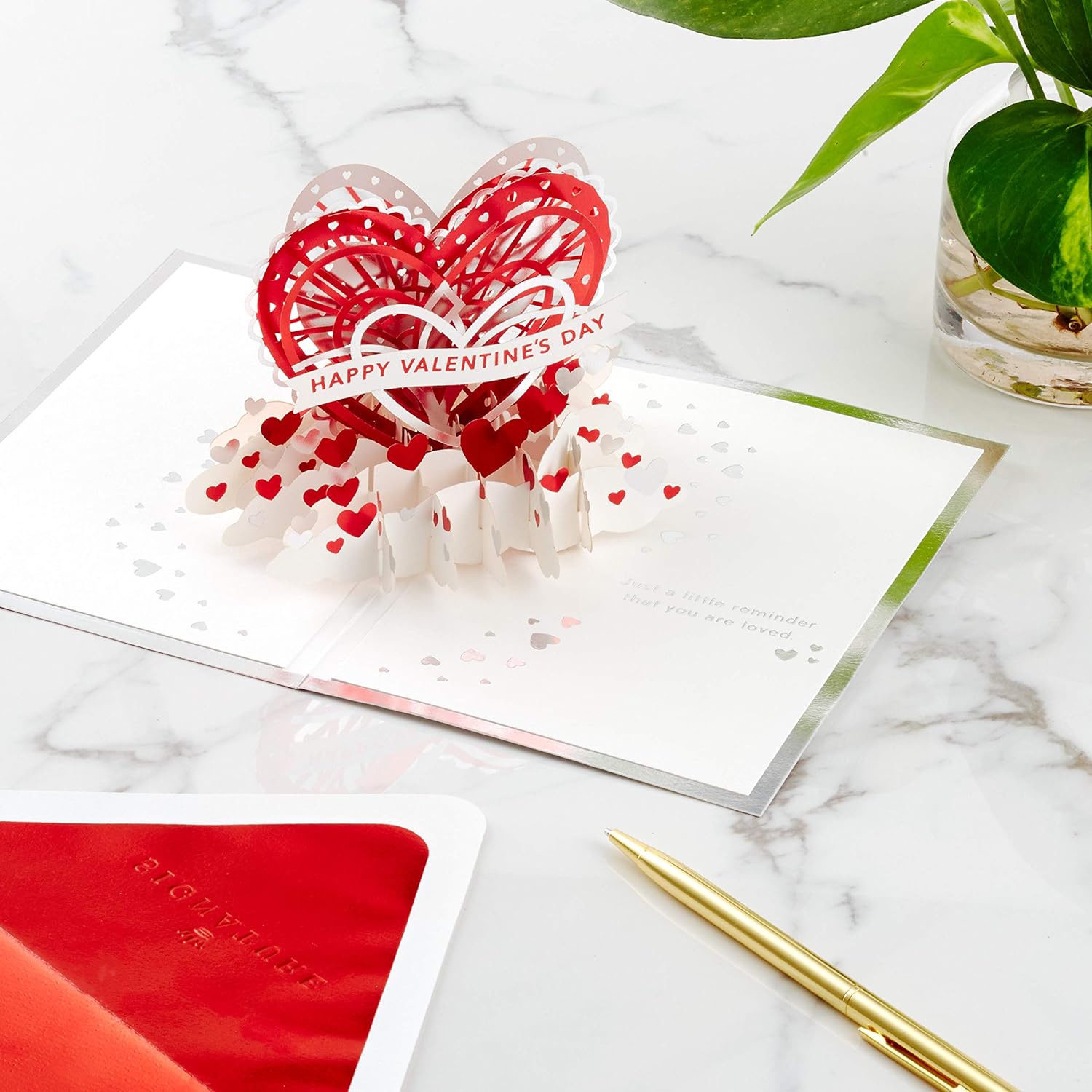 Hallmark Signature Paper Wonder Pop Up Valentines Day Card (Love You)