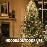 100 Count Clear Warm White Christmas String Lights 21FT Green Wire Mini Incandescent Lights for Indoor Outdoor Tree Holiday Bedroom Home Decor