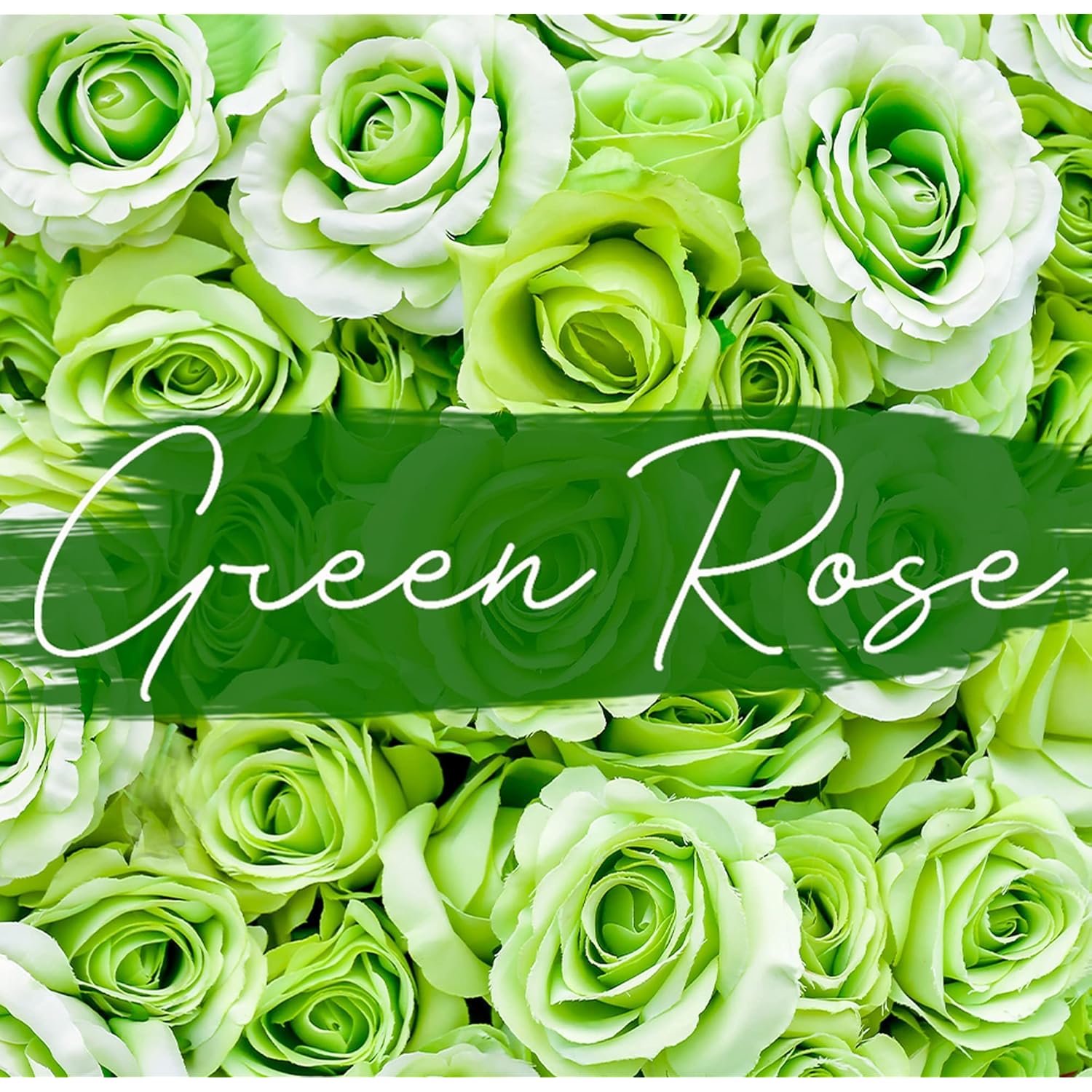 Simon&Tom Highly Scented Premium Green Rose Candle 10 Oz - 100 Hour Burn - Natural Organic Soy Wax - Aromatherapy Glass Candle Jar - Candle Jar With Matte Golden Gift Box For Home & Office - Vegan