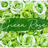 Simon&Tom Highly Scented Premium Green Rose Candle 10 Oz - 100 Hour Burn - Natural Organic Soy Wax - Aromatherapy Glass Candle Jar - Candle Jar With Matte Golden Gift Box For Home & Office - Vegan