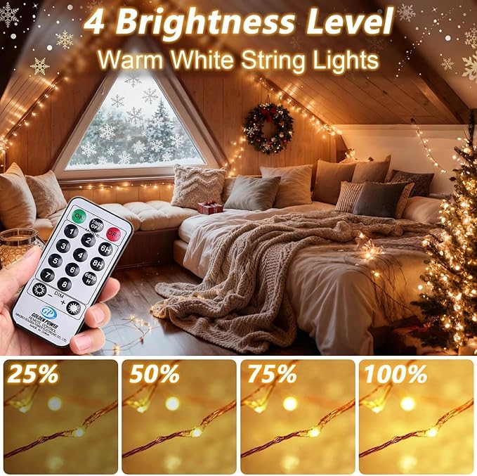 165FT Plug In Fairy Lights 500 LED Warm White Copper String Lights with Remote Timer 8 Modes Dimmable Waterproof for Holiday Decor