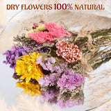 10 Pack Dried Flower Bouquets Various Dried Flower Combinations With Stem Mini Dried Embossing Natural Flower Bundles Artificial Flower Dried Floral Arrangement For Vase Diy Wedding Decor