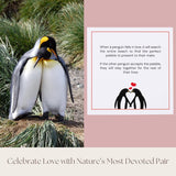 Wedding Anniversary Penguin Pebble Gift - Years Down, Forever To Go” Card & Happy Anniversary Box – Unique Gift For Husband, Wife, Boyfriend, Girlfriend – 1St 10Th 25Th 50Th
