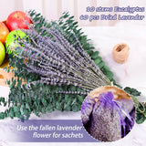 Preserved Eucalyptus Stems & Dried Lavender Bundles For Shower, 70 Pcs17'' Natural Real Live Eucalyptu Leaves Greenery Hanging Lavender Flowers Shower Plant, Fragrance, Vase Decor