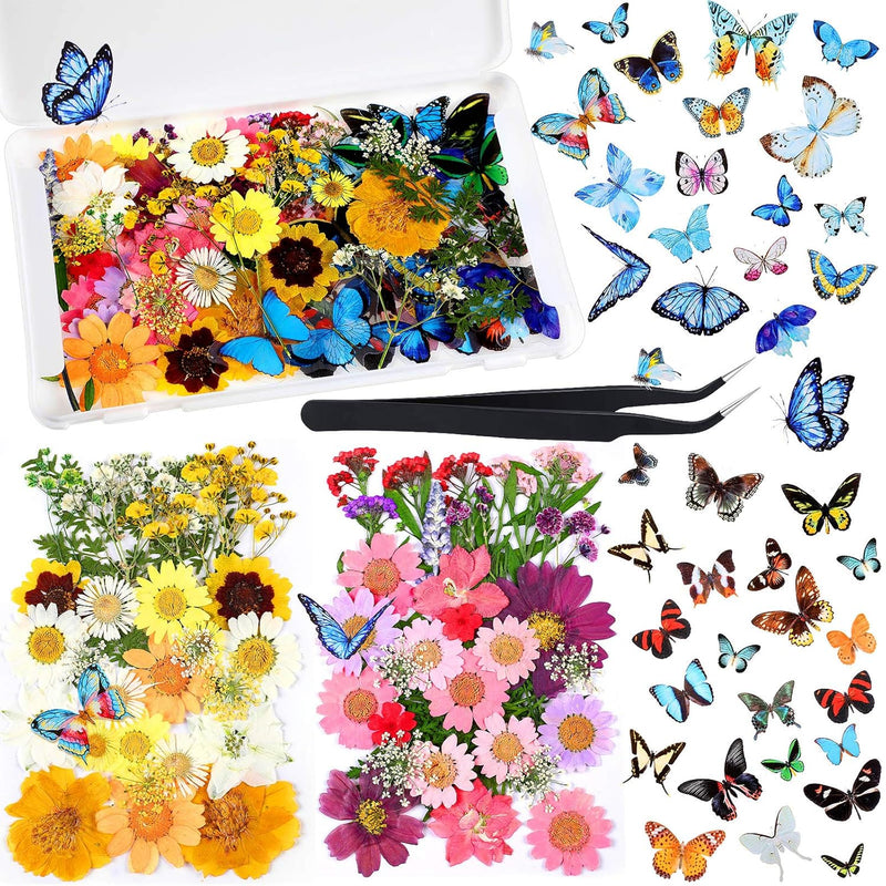 Dried Pressed Flower And Butterfly Transparent Sticker Set, Natural Re