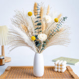 Dried Flowers Kit Reed Diffuser For Home Decor (White Ceramic Vase Included) Boho Decor , Eucalyptus Pampas Grass Bunny Tail Arrangements,Table Room Decor Wedding Party Birthday