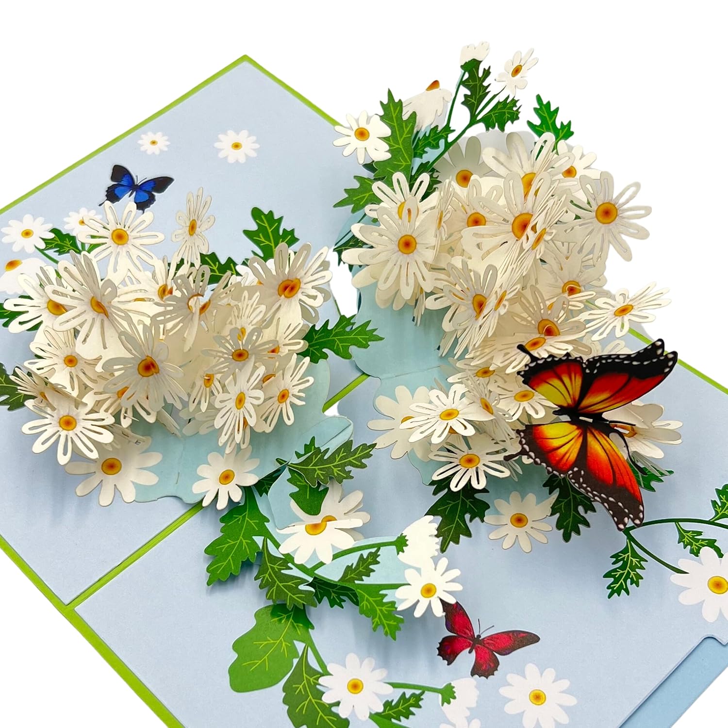 Pop Up Greeting Card Blooming White Daisy Field Flower Card Daisy Gift Spring Floral Mother'S Day Thank You Birthday Celebration