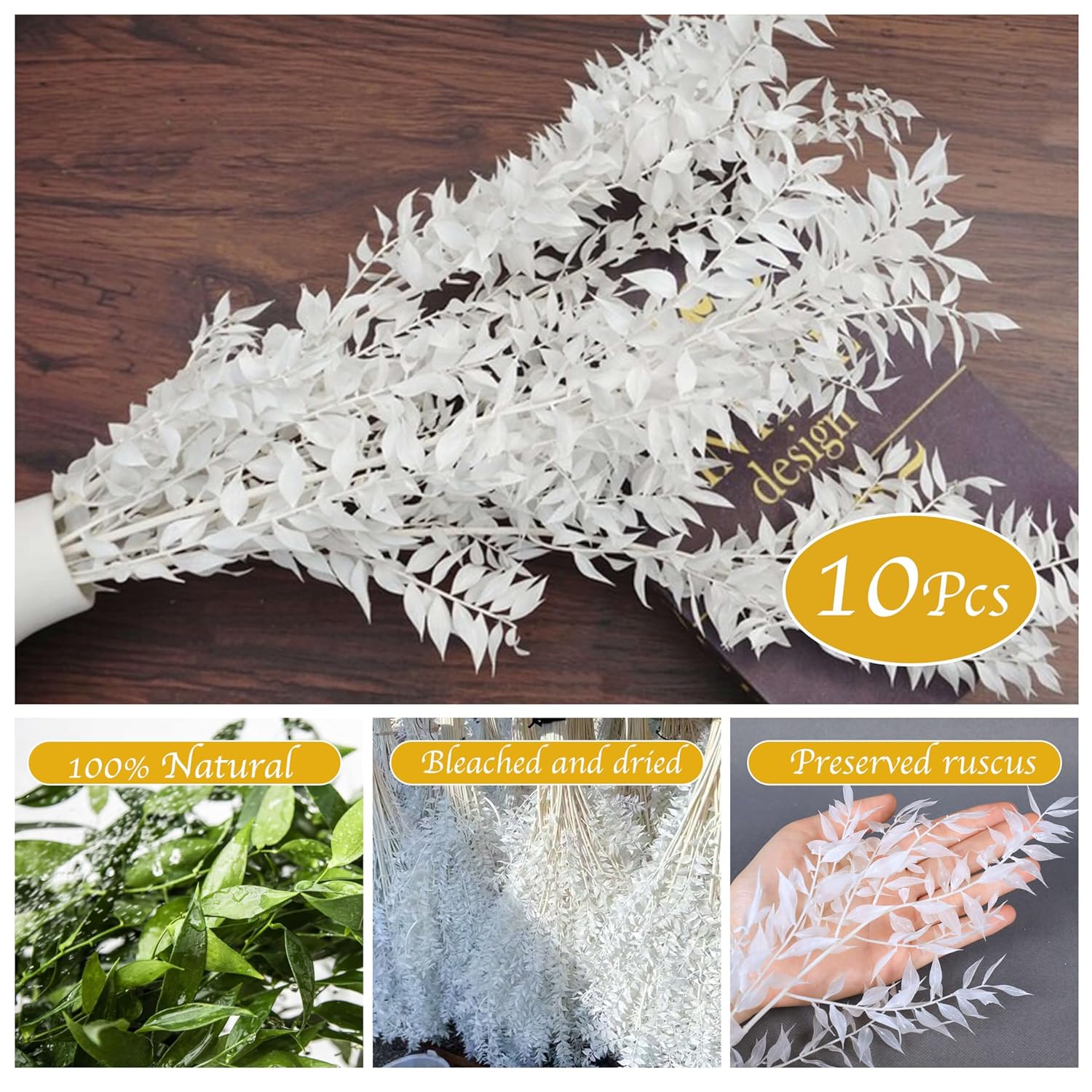 10 Pieces Dried White Italian Ruscus Eucalyptus - Real Preserved Ruscus Stem Branches, Real White Dried Floral Plant Pampas Green Leaves Bundle For Boho Wedding Party, Home Decor, Vase Filler