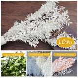 10 Pieces Dried White Italian Ruscus Eucalyptus - Real Preserved Ruscus Stem Branches, Real White Dried Floral Plant Pampas Green Leaves Bundle For Boho Wedding Party, Home Decor, Vase Filler