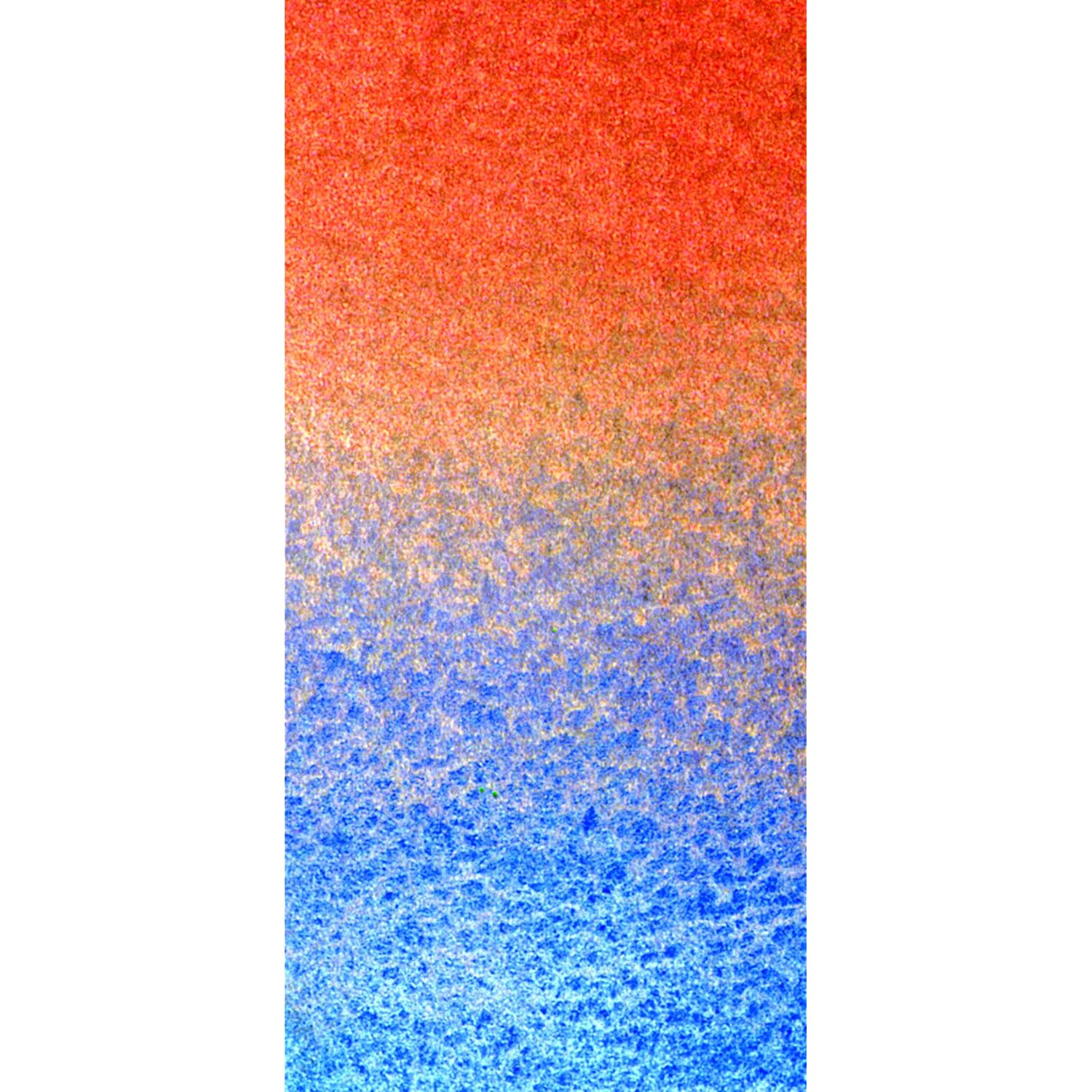 Winsor & Newton XCFGM75 75Ml Granulation Medium