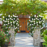 Artificial Flowers Faux Outdoor Plants Artificial Petunias For Outdoors Uv Resistant Fake Petunias Plants Hanging Flower Patio Decor Outside Basket Realistic Silk Plant No Pot(White 2Pcs)