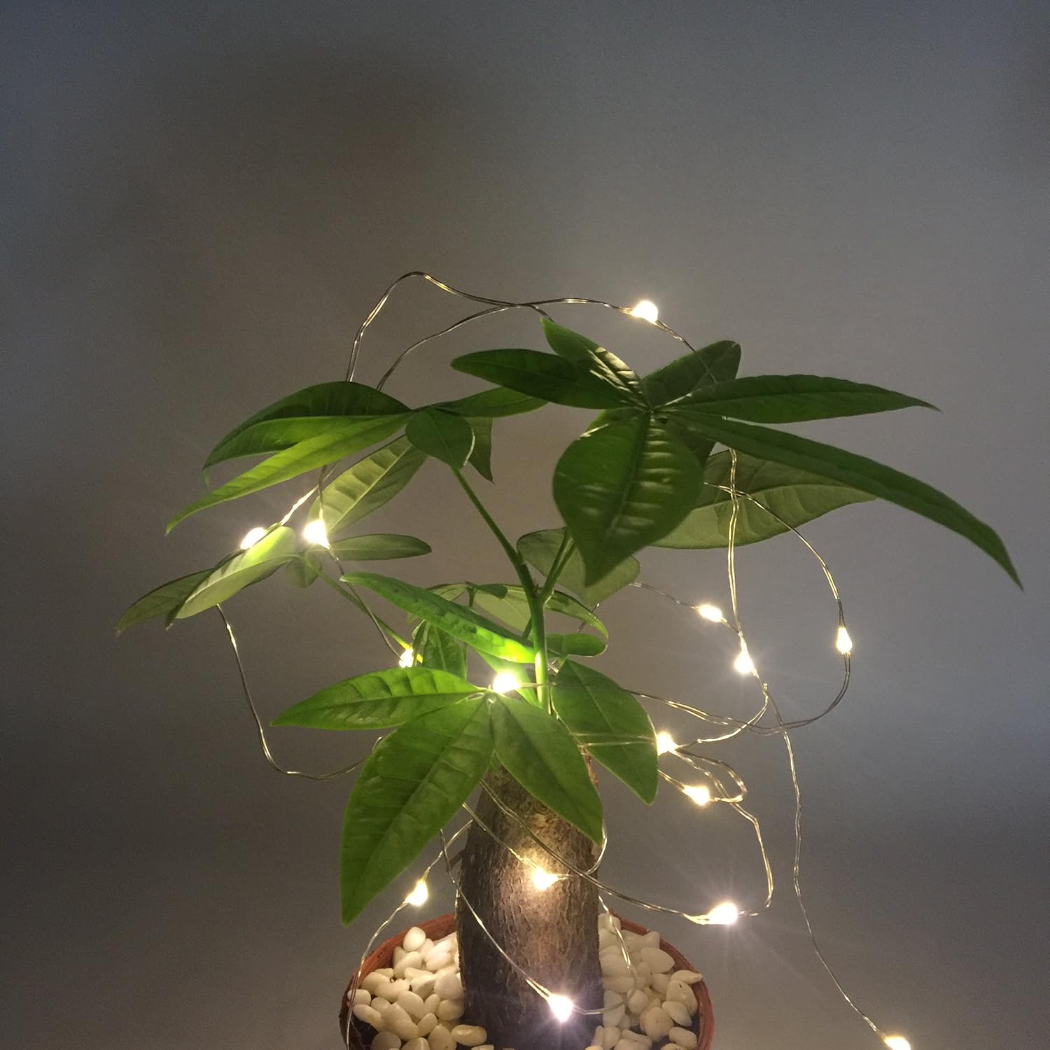 Pack 2 Indoor Mini Starry String Lights, Battery-Operated Fairy Lights With Timer For Christmas Party Bedroom Decoration