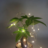 Pack 2 Indoor Mini Starry String Lights, Battery-Operated Fairy Lights With Timer For Christmas Party Bedroom Decoration