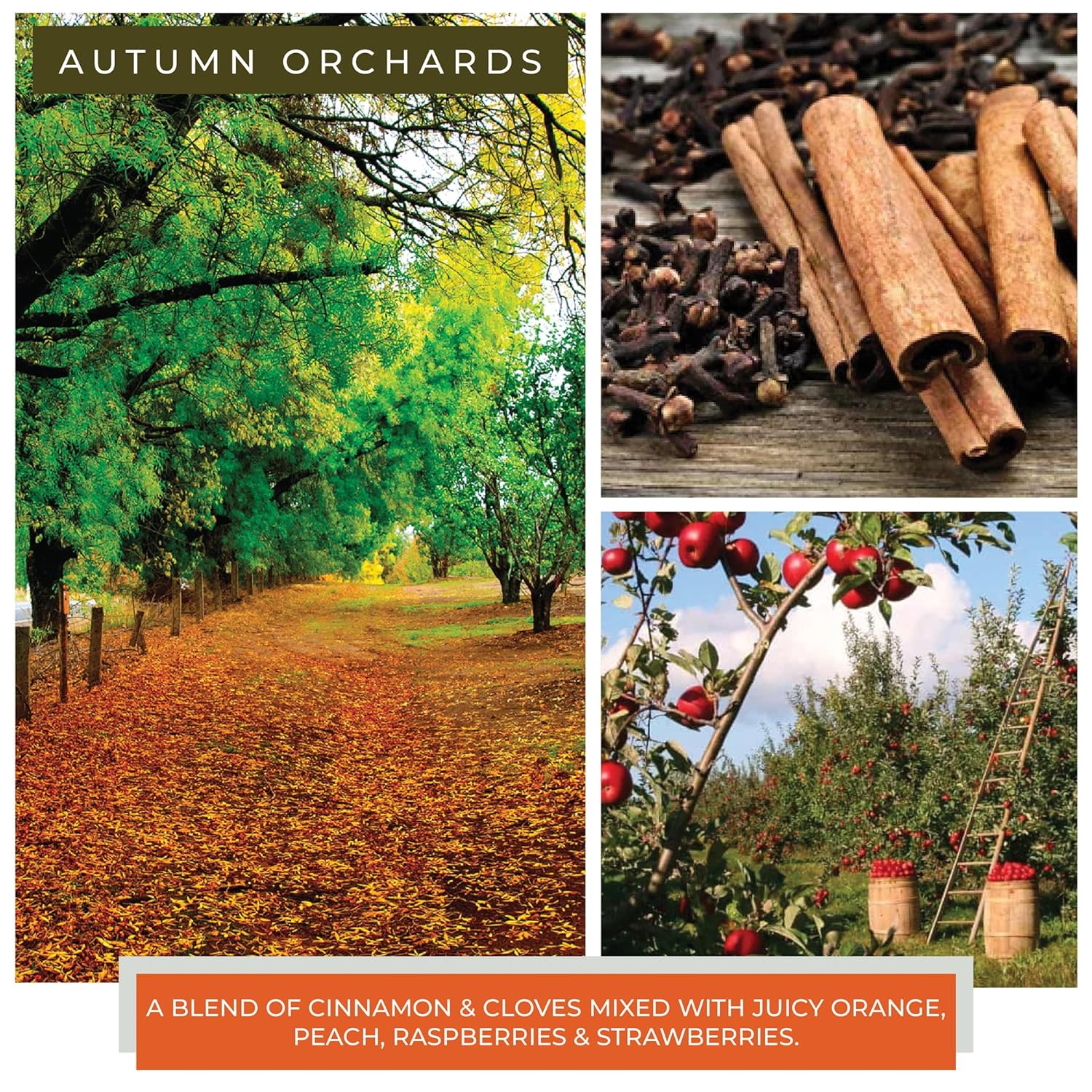 A Cheerful Giver — Autumn Orchards - 34oz Papa Scented Candle Jar with Lid - Keepers of the Light - 155 Hours of Burn Time, Gift for Women, Brown