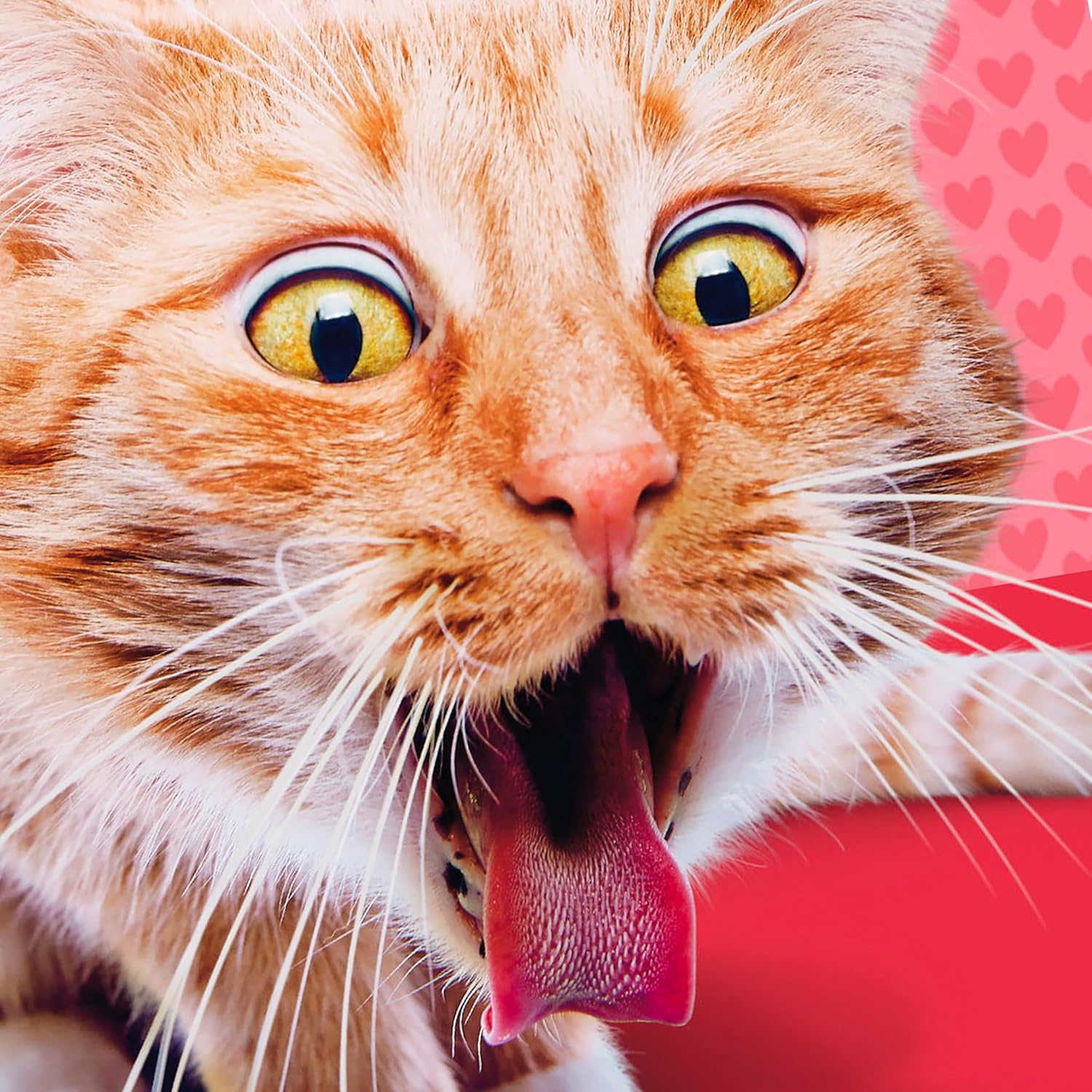 Hallmark Shoebox Funny Anti-Valentines Day Card (Cat Hairball)