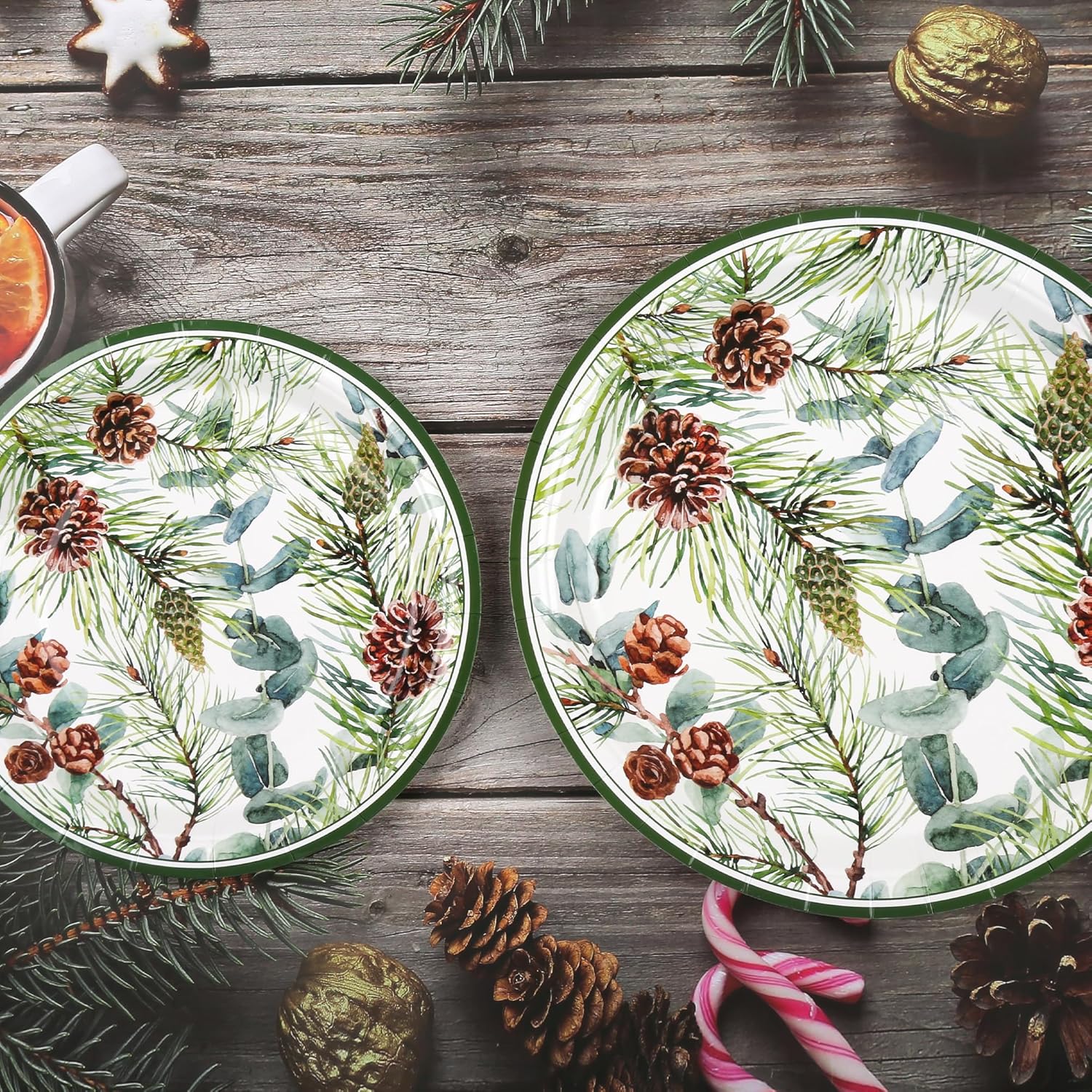 48Pcs Christmas Party Plates Winter Pine Cones Paper Plates 9 Inch 7 Inch Watercolor Pine Branches Cones Eucalyptus Disposable Round Dinner Dessert Plate For Xmas Holiday Party Supplies