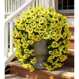 Artificial Flowers For Outdoors 2Pcs Faux Silk Pansy Vines Lush Uv Resistant Fake Hanging Flower Plants For Outside Porch Yard Patio Window Box (Yellow)