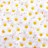 200 Pieces Faux Daisy Flower Heads For Craft Mini Fabric Daisy Flower Heads Bulk 1. 57 Inch Artificial Fake Small Daisies Art Diy Craft For Summer Wed Birth Party Decor (White)