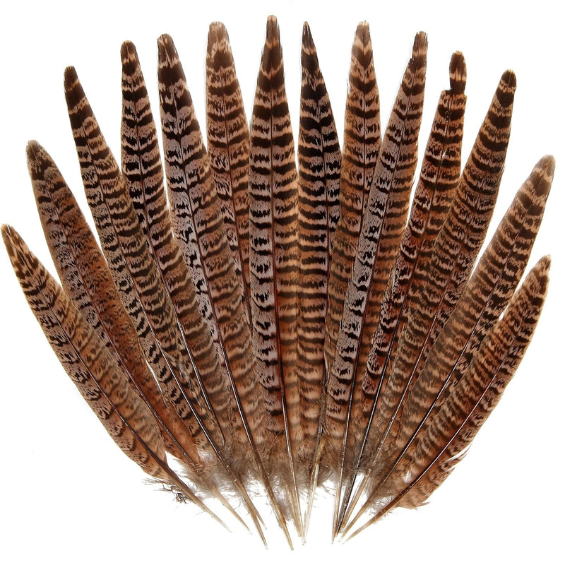 20Pcs Female Pheasant Feather Natural Ringneck Tails Feathers 8-10Inch 20-25Cm